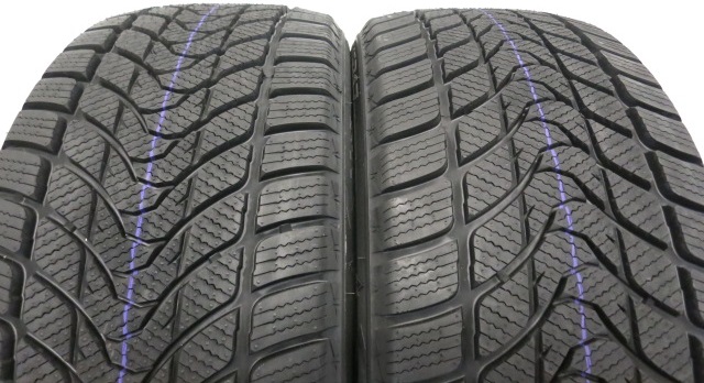 Delinte Winter WD1 (2)